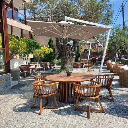 Ayia Marina Suites أُرانّوبولي المظهر الخارجي الصورة